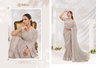 Desi Dream By Rajguru Embroidery Work Saree Wholesale Market In Surat
